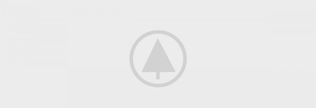 wood portfolio placeholder wood portfolio placeholder